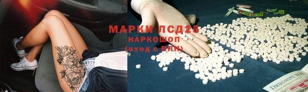 крисы Алзамай