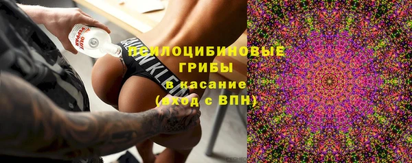 СК Янаул
