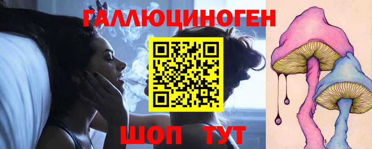 Галлюциногенные грибы Psilocybe Сосновый Бор